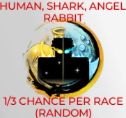 Chance Race
